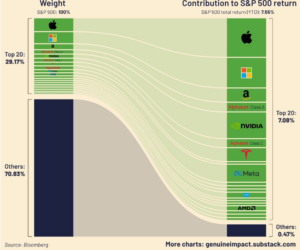 Visual Capital Mkt Cap Graphic