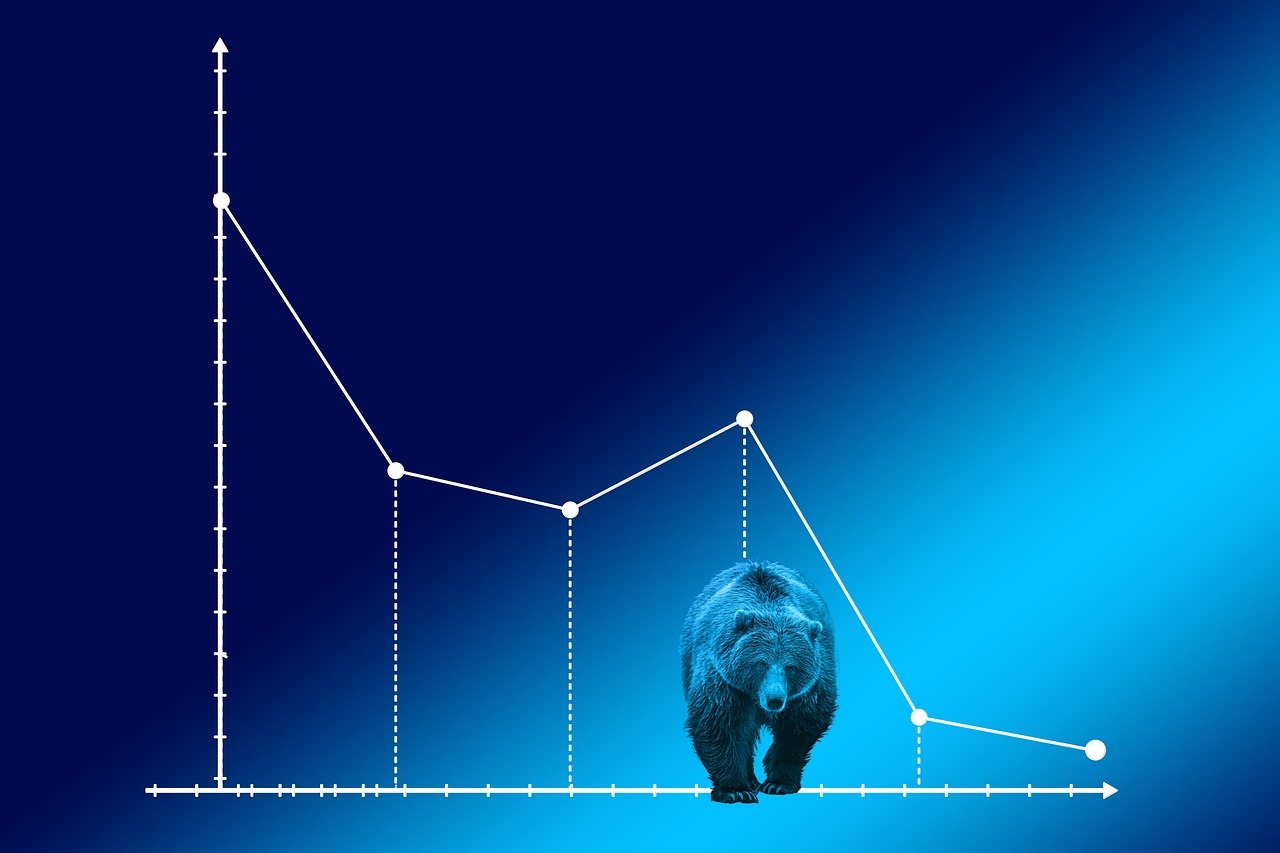 What’s in a Bear Market? post image