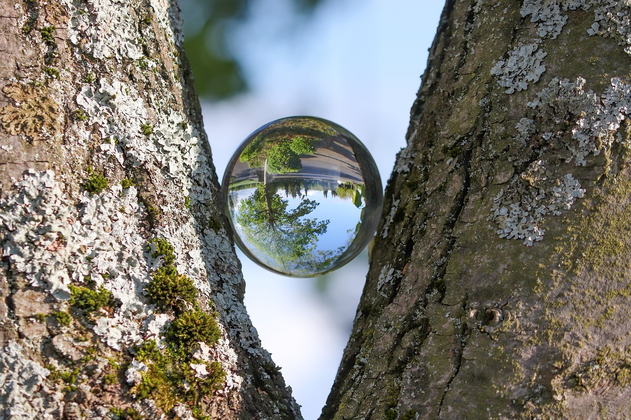 Internal vs. External Focus post image