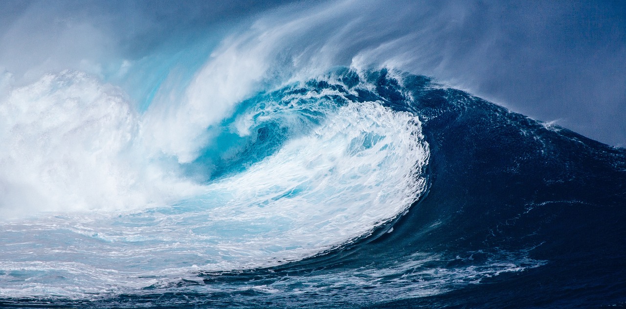 The Blue Wave and Stock Returns post image