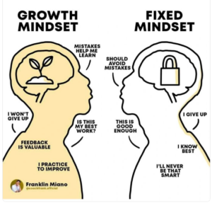 Fixed Vs. Growth Investment Mindset