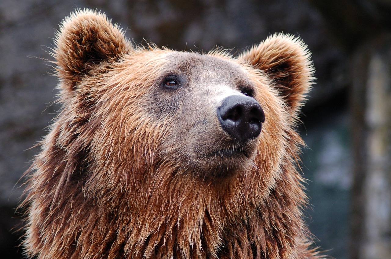 Wall Street is Bearish: That’s a Good Thing post image