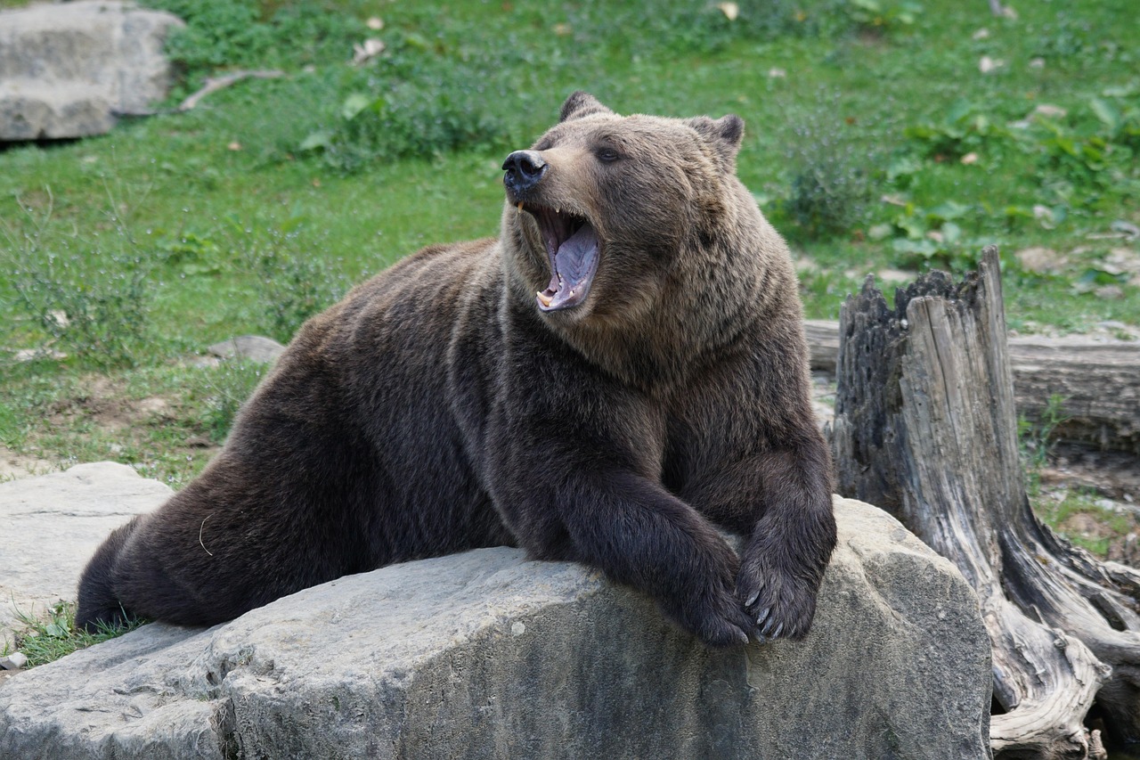 Bear Market Feedback is Gold post image